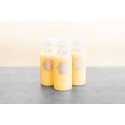 Smoothie mango/ingefära | Panini Internazionale
